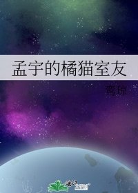 孟宇的橘猫室友